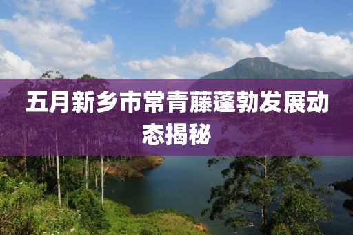 五月新鄉(xiāng)市常青藤蓬勃發(fā)展動態(tài)揭秘