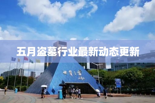 五月盜墓行業(yè)最新動態(tài)更新
