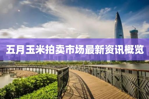 五月玉米拍賣市場最新資訊概覽