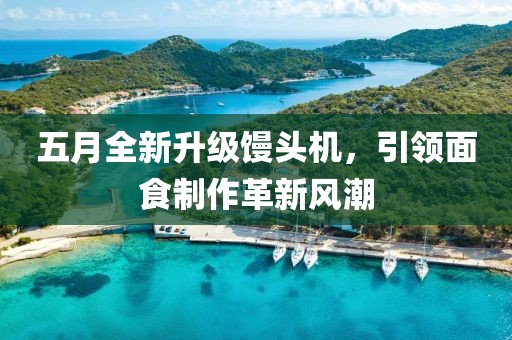五月全新升級(jí)饅頭機(jī)，引領(lǐng)面食制作革新風(fēng)潮