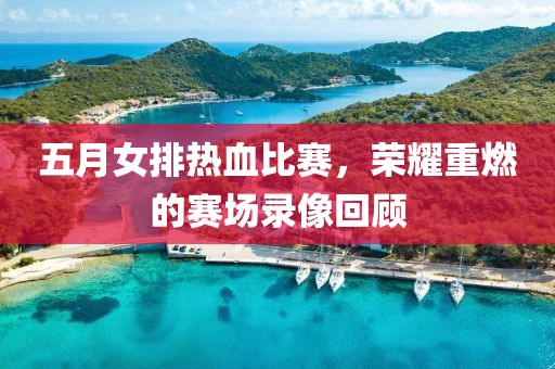 五月女排熱血比賽，榮耀重燃的賽場錄像回顧