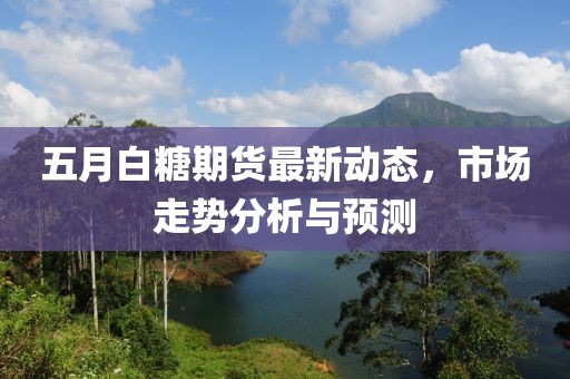 五月白糖期貨最新動(dòng)態(tài)，市場(chǎng)走勢(shì)分析與預(yù)測(cè)