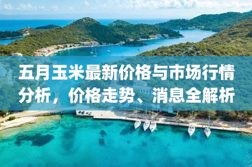 五月玉米最新價格與市場行情分析，價格走勢、消息全解析