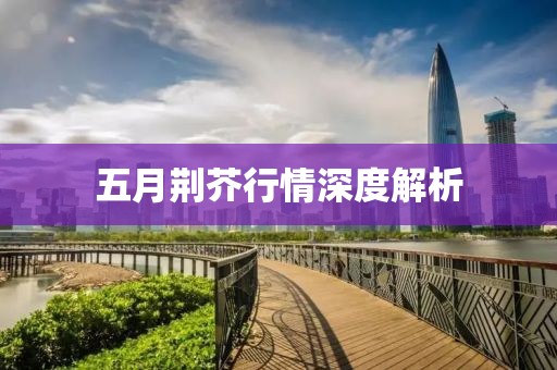 五月荊芥行情深度解析