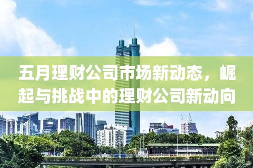 五月理財(cái)公司市場(chǎng)新動(dòng)態(tài)，崛起與挑戰(zhàn)中的理財(cái)公司新動(dòng)向