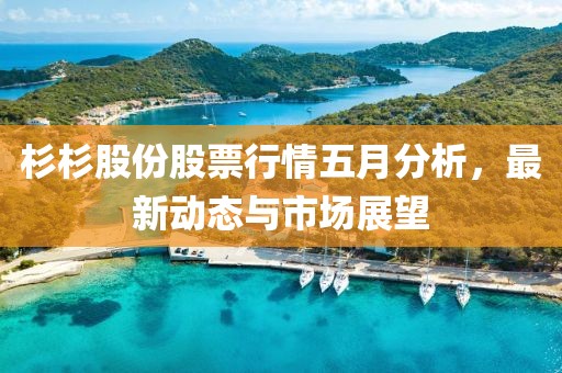 杉杉股份股票行情五月分析，最新動態(tài)與市場展望