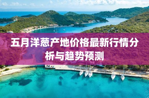 五月洋蔥產(chǎn)地價格最新行情分析與趨勢預(yù)測