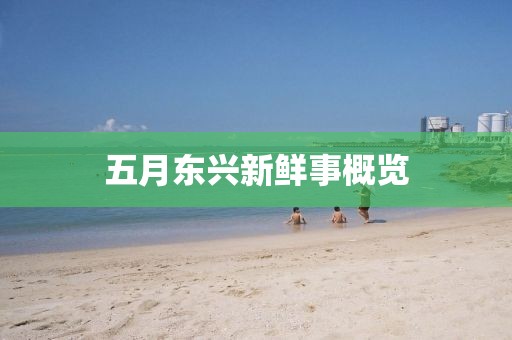 五月東興新鮮事概覽