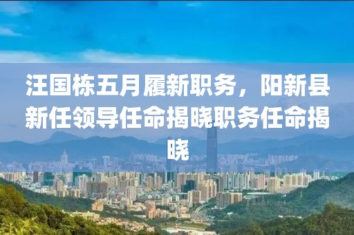 汪國棟五月履新職務，陽新縣新任領導任命揭曉職務任命揭曉