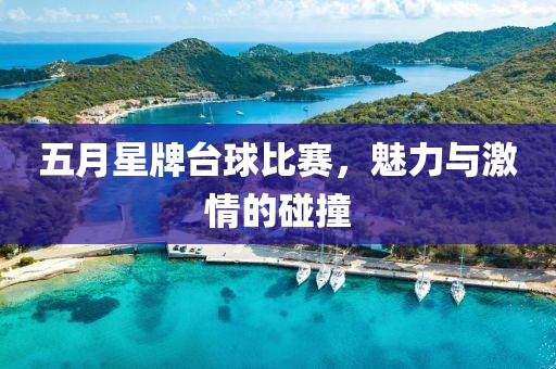 五月星牌臺球比賽，魅力與激情的碰撞