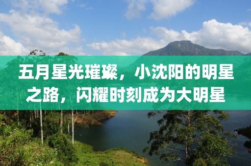 五月星光璀璨，小沈陽(yáng)的明星之路，閃耀時(shí)刻成為大明星