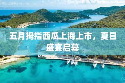 五月拇指西瓜上海上市，夏日盛宴啟幕