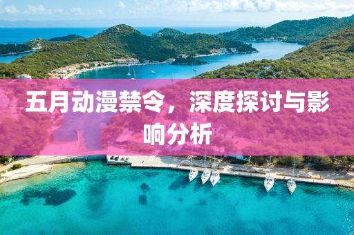 五月動漫禁令，深度探討與影響分析