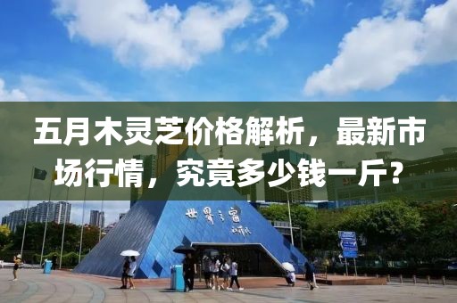 五月木靈芝價格解析，最新市場行情，究竟多少錢一斤？