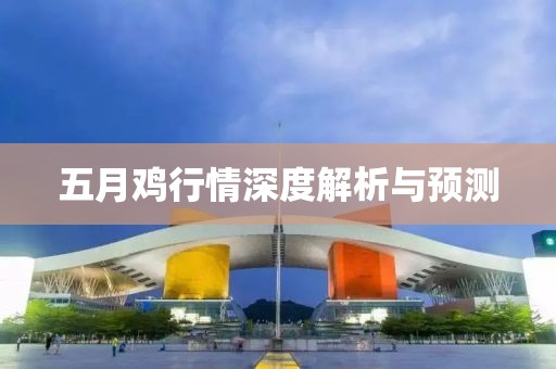 五月雞行情深度解析與預(yù)測(cè)