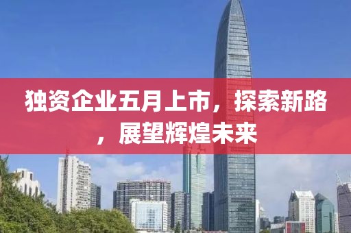 獨資企業(yè)五月上市，探索新路，展望輝煌未來