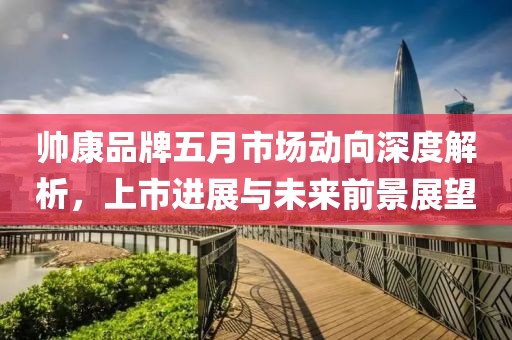 帥康品牌五月市場動向深度解析，上市進展與未來前景展望