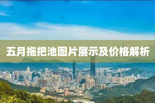 五月拖把池圖片展示及價(jià)格解析