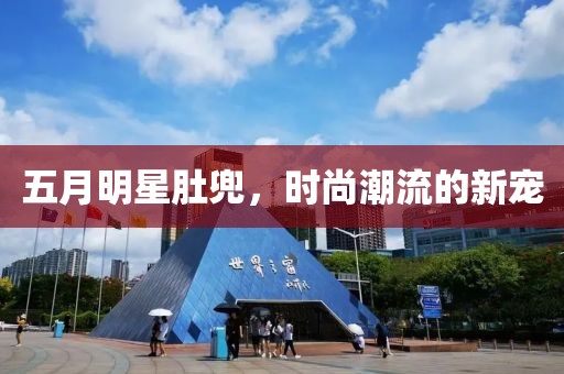 五月明星肚兜，時(shí)尚潮流的新寵
