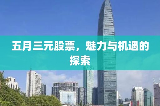 五月三元股票，魅力與機(jī)遇的探索
