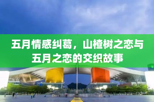 五月情感糾葛，山楂樹(shù)之戀與五月之戀的交織故事