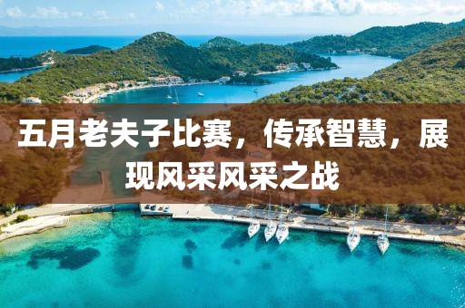 五月老夫子比賽，傳承智慧，展現(xiàn)風(fēng)采風(fēng)采之戰(zhàn)