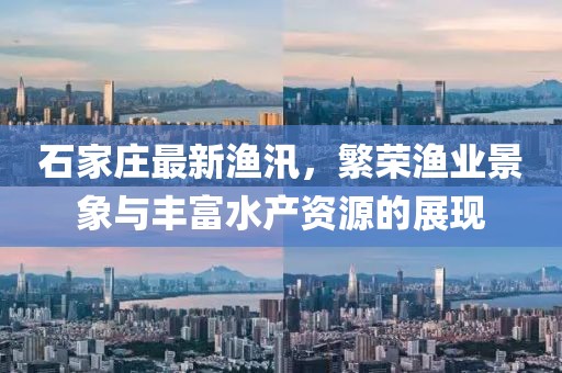 石家莊最新漁汛，繁榮漁業(yè)景象與豐富水產(chǎn)資源的展現(xiàn)
