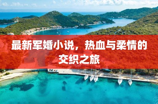 最新軍婚小說，熱血與柔情的交織之旅