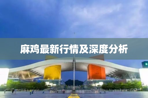 麻雞最新行情及深度分析