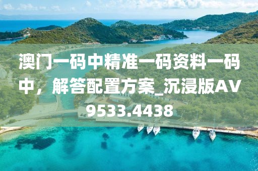 澳門一碼中精準(zhǔn)一碼資料一碼中，解答配置方案_沉浸版AV9533.4438