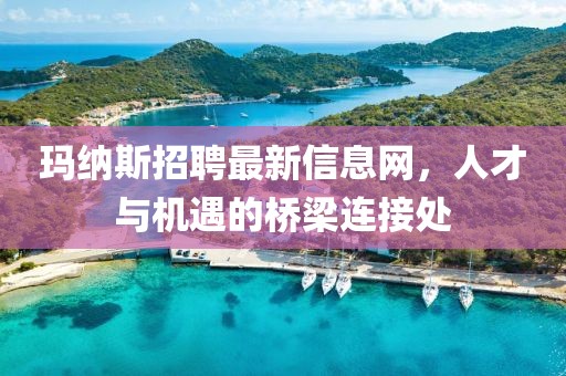 瑪納斯招聘最新信息網(wǎng)，人才與機(jī)遇的橋梁連接處