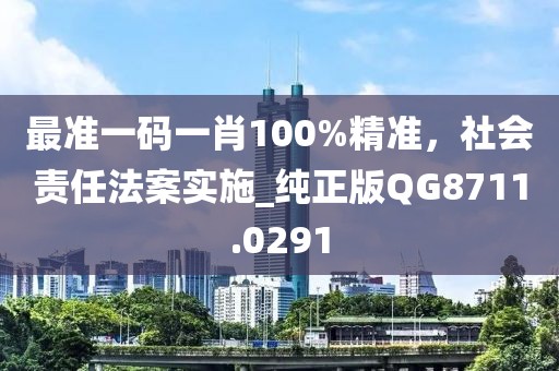 最準(zhǔn)一碼一肖100%精準(zhǔn)，社會責(zé)任法案實施_純正版QG8711.0291