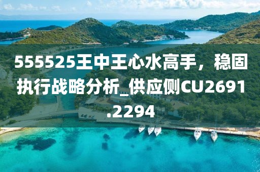 555525王中王心水高手，穩(wěn)固執(zhí)行戰(zhàn)略分析_供應(yīng)側(cè)CU2691.2294