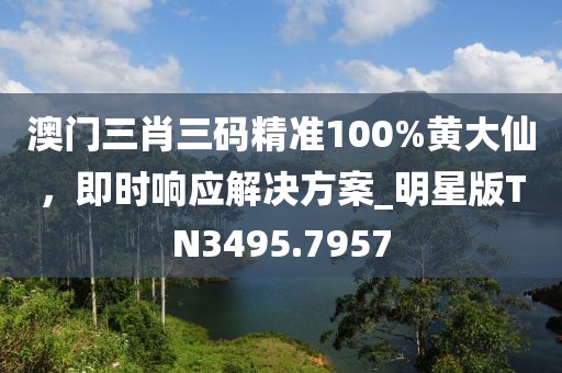 澳門三肖三碼精準100%黃大仙，即時響應解決方案_明星版TN3495.7957