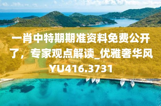 一肖中特期期準(zhǔn)資料免費(fèi)公開了，專家觀點(diǎn)解讀_優(yōu)雅奢華風(fēng)YU416.3731