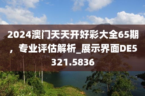 2024澳門天天開好彩大全65期，專業(yè)評估解析_展示界面DE5321.5836