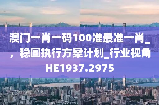 澳門(mén)一肖一碼100準(zhǔn)最準(zhǔn)一肖_，穩(wěn)固執(zhí)行方案計(jì)劃_行業(yè)視角HE1937.2975