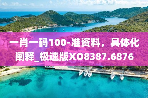 一肖一碼100-準(zhǔn)資料，具體化闡釋_極速版XO8387.6876