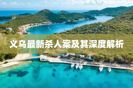 義烏最新殺人案及其深度解析