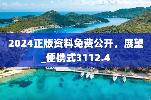 2024正版資料免費公開，展望_便攜式3112.4