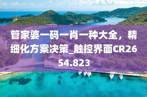 管家婆一碼一肖一種大全，精細(xì)化方案決策_(dá)觸控界面CR2654.823