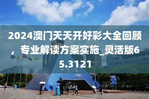 2024澳門天天開好彩大全回顧，專業(yè)解讀方案實(shí)施_靈活版65.3121