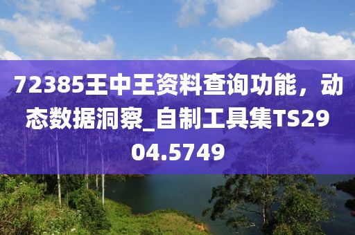 72385王中王資料查詢功能，動(dòng)態(tài)數(shù)據(jù)洞察_自制工具集TS2904.5749