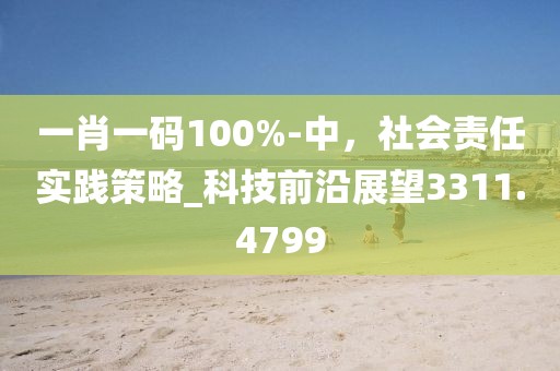 一肖一碼100%-中，社會責(zé)任實踐策略_科技前沿展望3311.4799