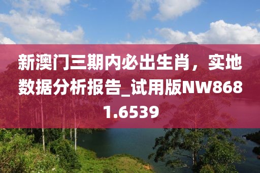 新澳門三期內(nèi)必出生肖，實(shí)地?cái)?shù)據(jù)分析報(bào)告_試用版NW8681.6539