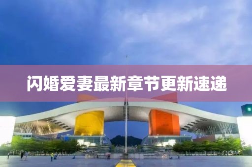 閃婚愛(ài)妻最新章節(jié)更新速遞