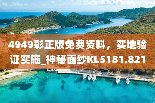 4949彩正版免費(fèi)資料，實(shí)地驗(yàn)證實(shí)施_神秘面紗KL5181.821