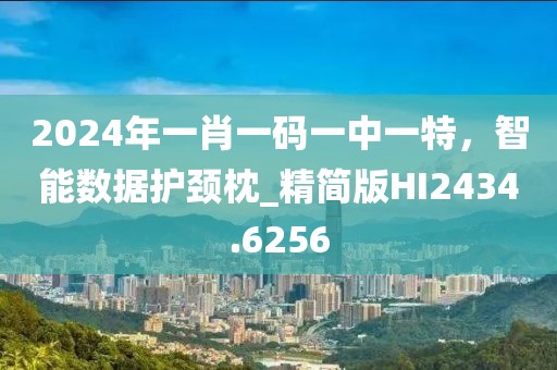 2024年一肖一碼一中一特，智能數(shù)據(jù)護(hù)頸枕_精簡版HI2434.6256