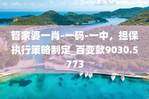 管家婆一肖-一碼-一中，擔(dān)保執(zhí)行策略制定_百變款9030.5773