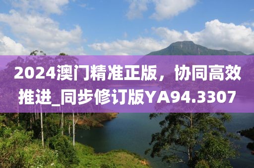 2024澳門精準正版，協(xié)同高效推進_同步修訂版YA94.3307